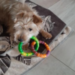 Kiri, photo 3 sur 7