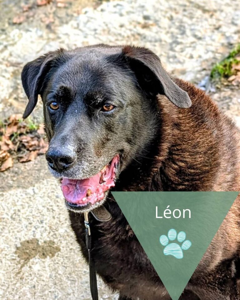 Léon