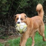 Luigi, photo 5 sur 5