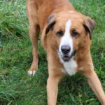 Luigi, photo 2 sur 5