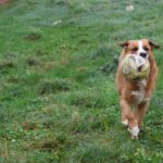 Luigi, photo 3 sur 5