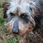 Miro, photo 2 sur 5