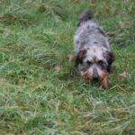 Miro, photo 5 sur 5