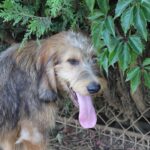 Clyde, photo 3 sur 4