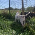 Kyara, photo 3 sur 5