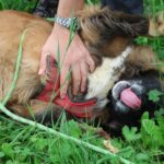 Maddy, photo 7 sur 8