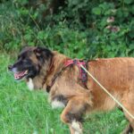 Maddy, photo 6 sur 8