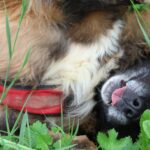 Maddy, photo 2 sur 8