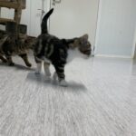 Ralph, photo 2 sur 4
