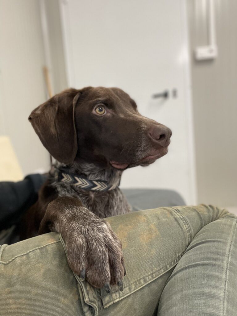 Gus