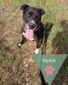 Nyara