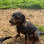 Bénédicte, photo 3 sur 7