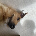 Klaus, photo 3 sur 5