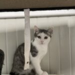 Lola, photo 3 sur 5