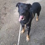 Thor, photo 2 sur 4