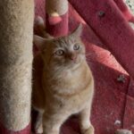 Bianca, photo 1 sur 5