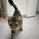 Léo, photo 5 sur 5