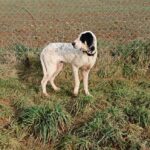 Dorota, photo 2 sur 5