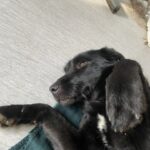 Kiki, photo 1 sur 4