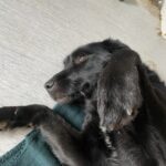 Kiki, photo 2 sur 4