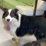 Max, photo 3 sur 4