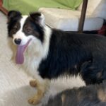 Max, photo 1 sur 4
