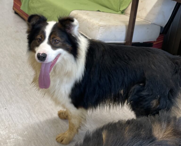 Max