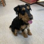 Zelie, photo 5 sur 5