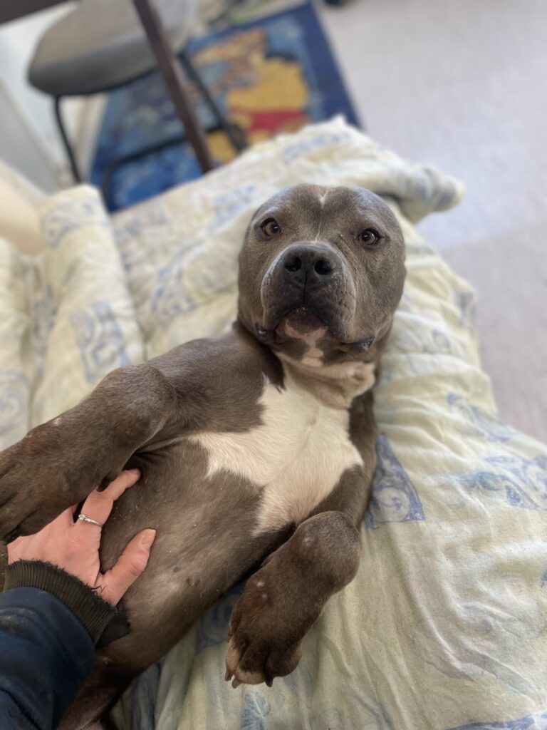 Paco