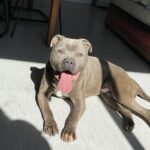 Paco, photo 5 sur 5
