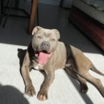 Paco, photo 4 sur 5