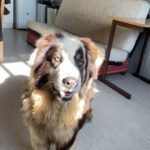 Titus, photo 1 sur 5