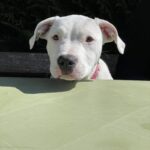 Ella, photo 2 sur 4
