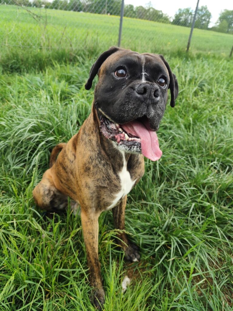 Tayson