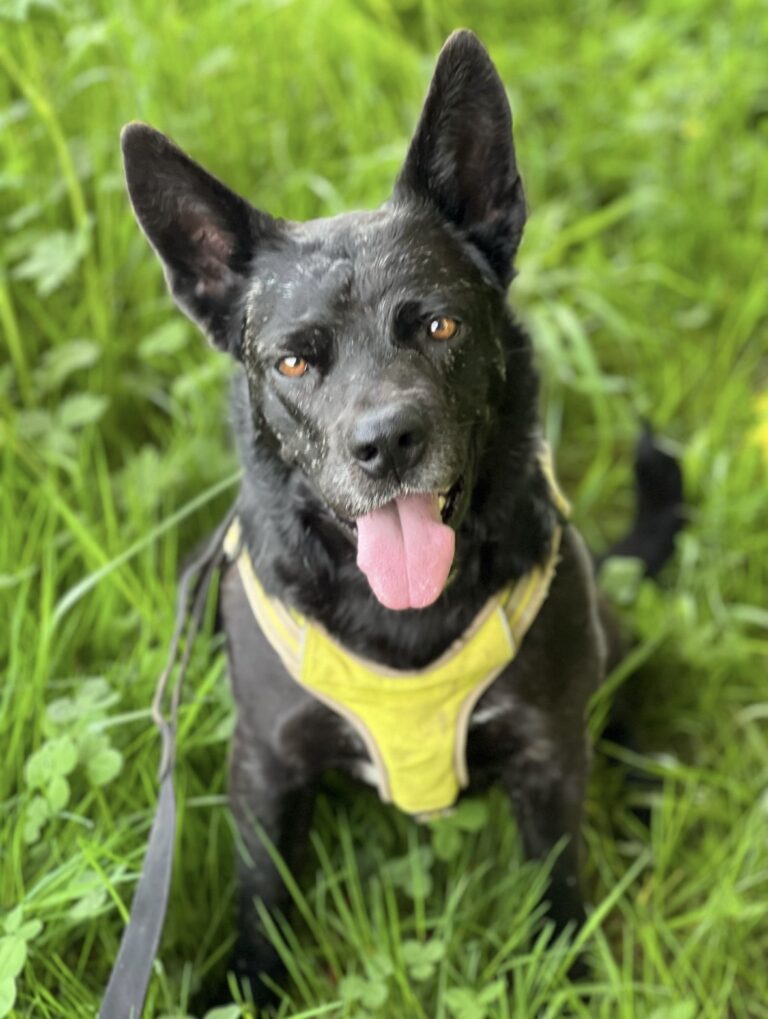 Peaky