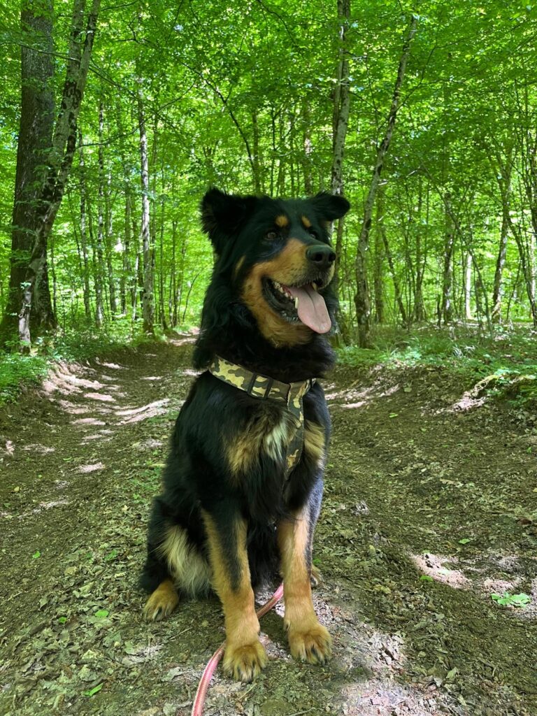 Rocky