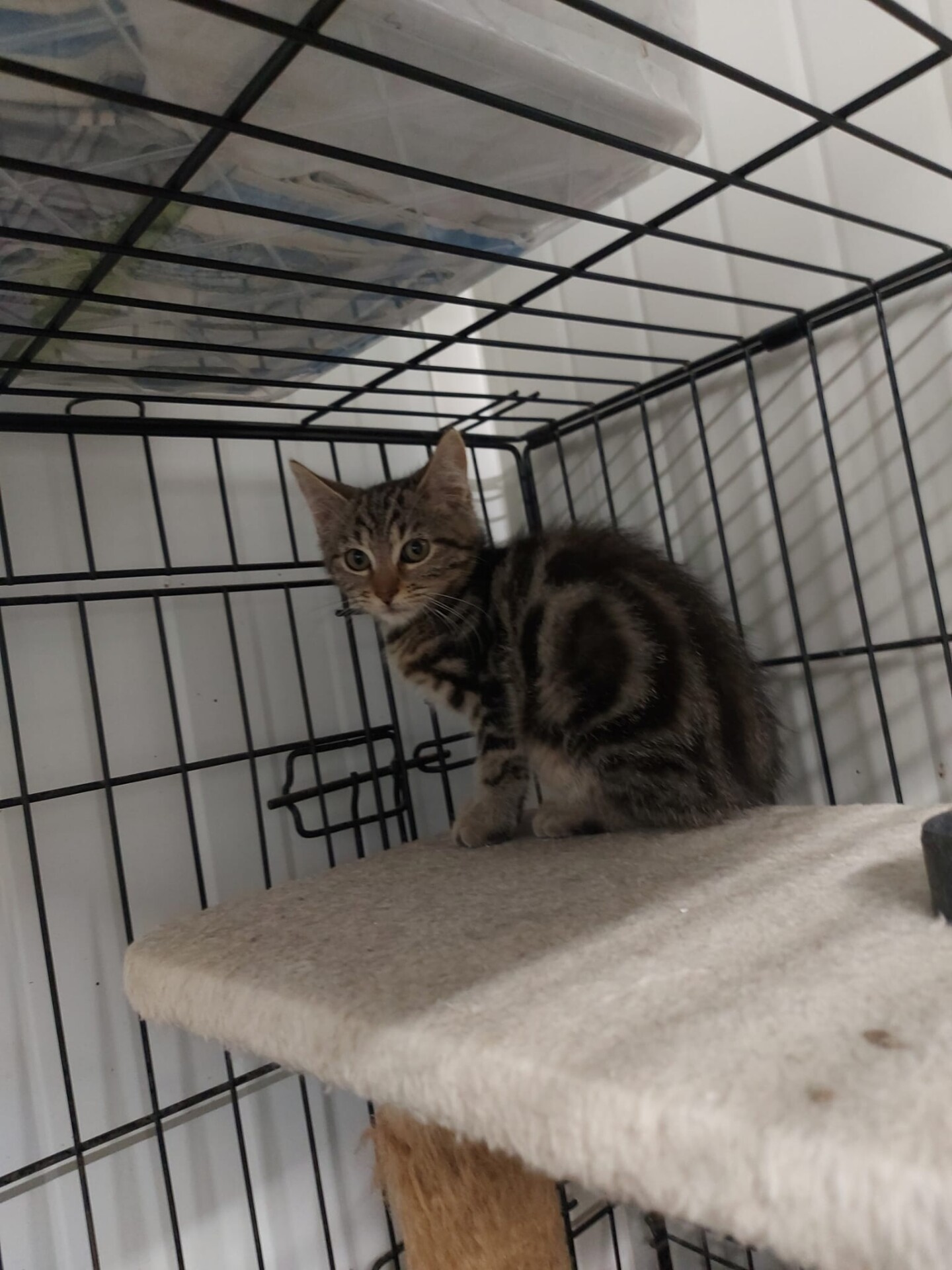 D3836F02-8184-4799-9E25-A90D5B45BAB0