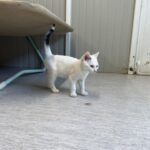 Vlad, photo 1 sur 5