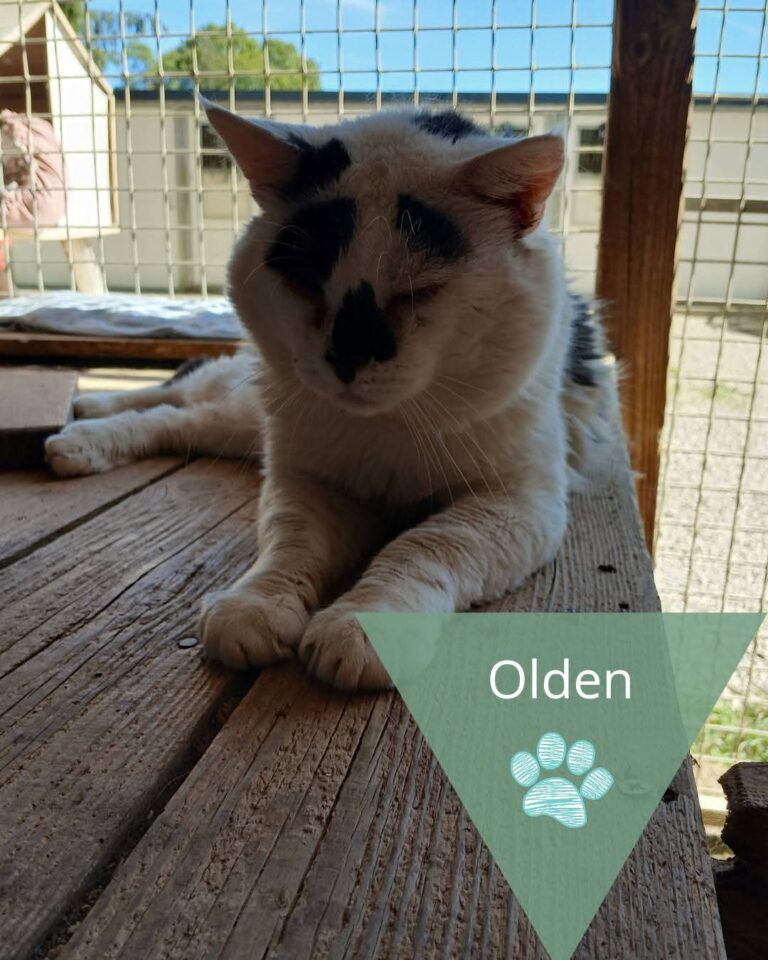 Olden