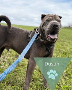 Dustin