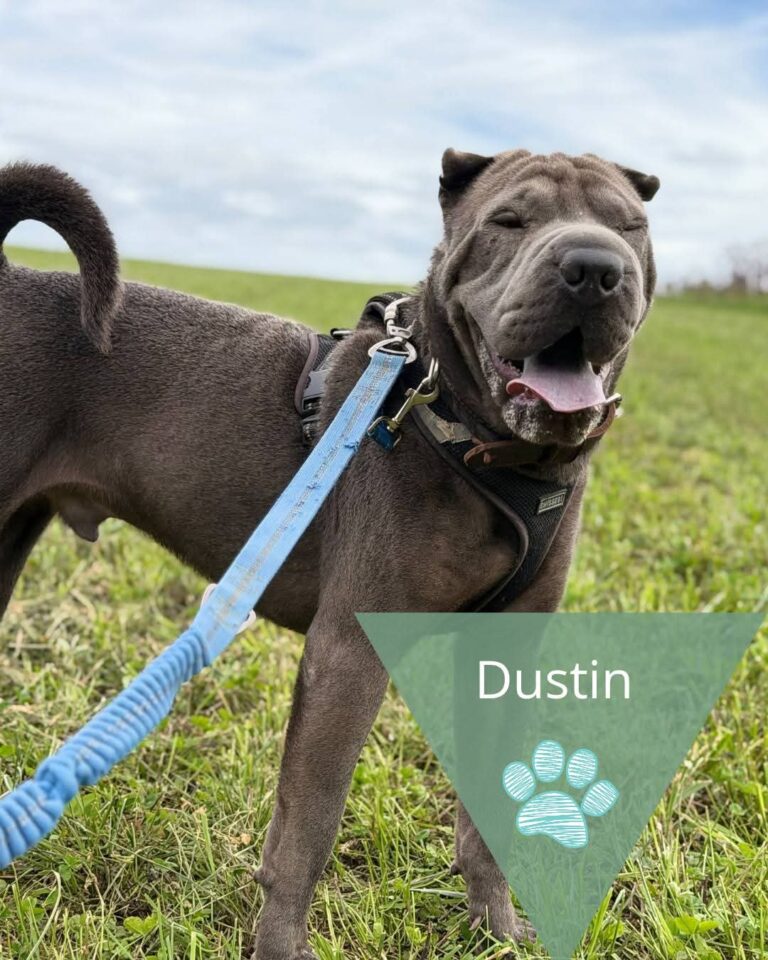Dustin