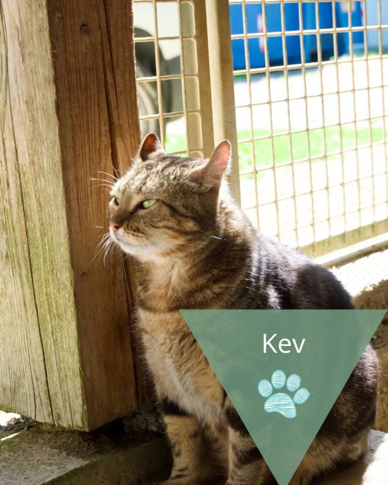 Kev