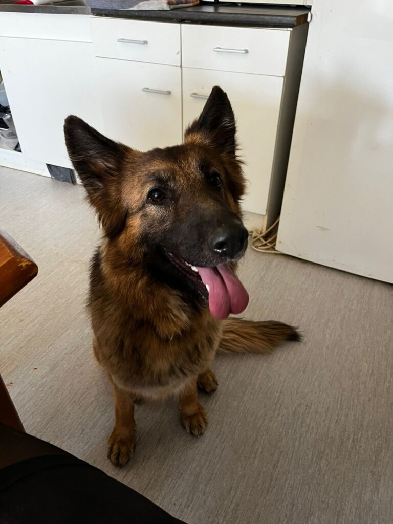 Tina
