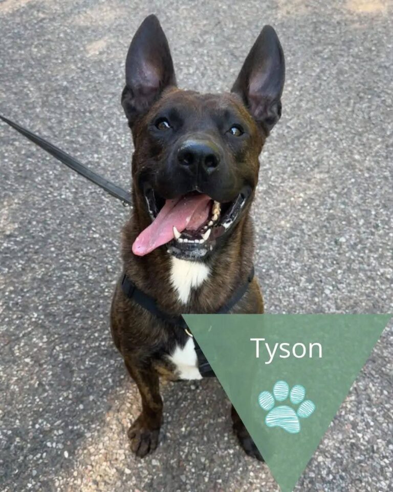 Tyson