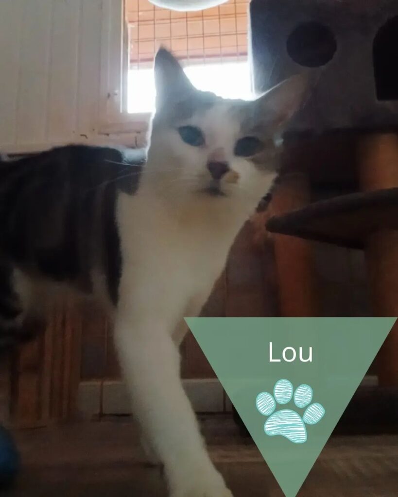 Lou, photo 1 sur 1