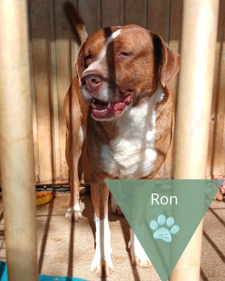Ron