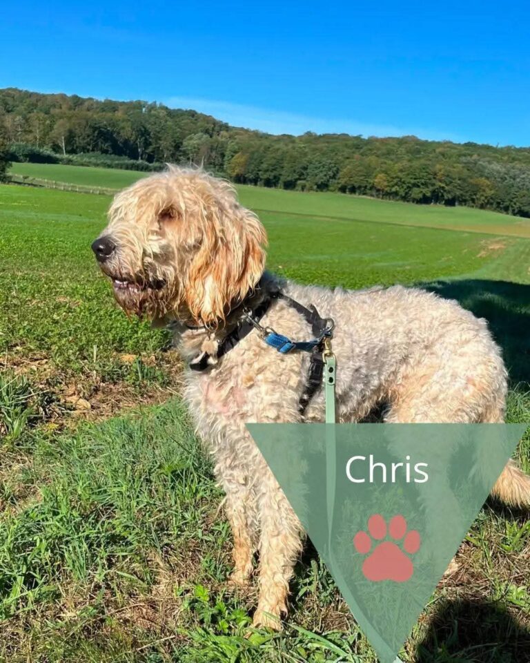 Chris